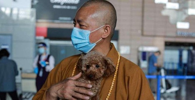 Một vị thầy chăm sóc hàng nghìn động vật bị bỏ rơi tại Trung Quốc