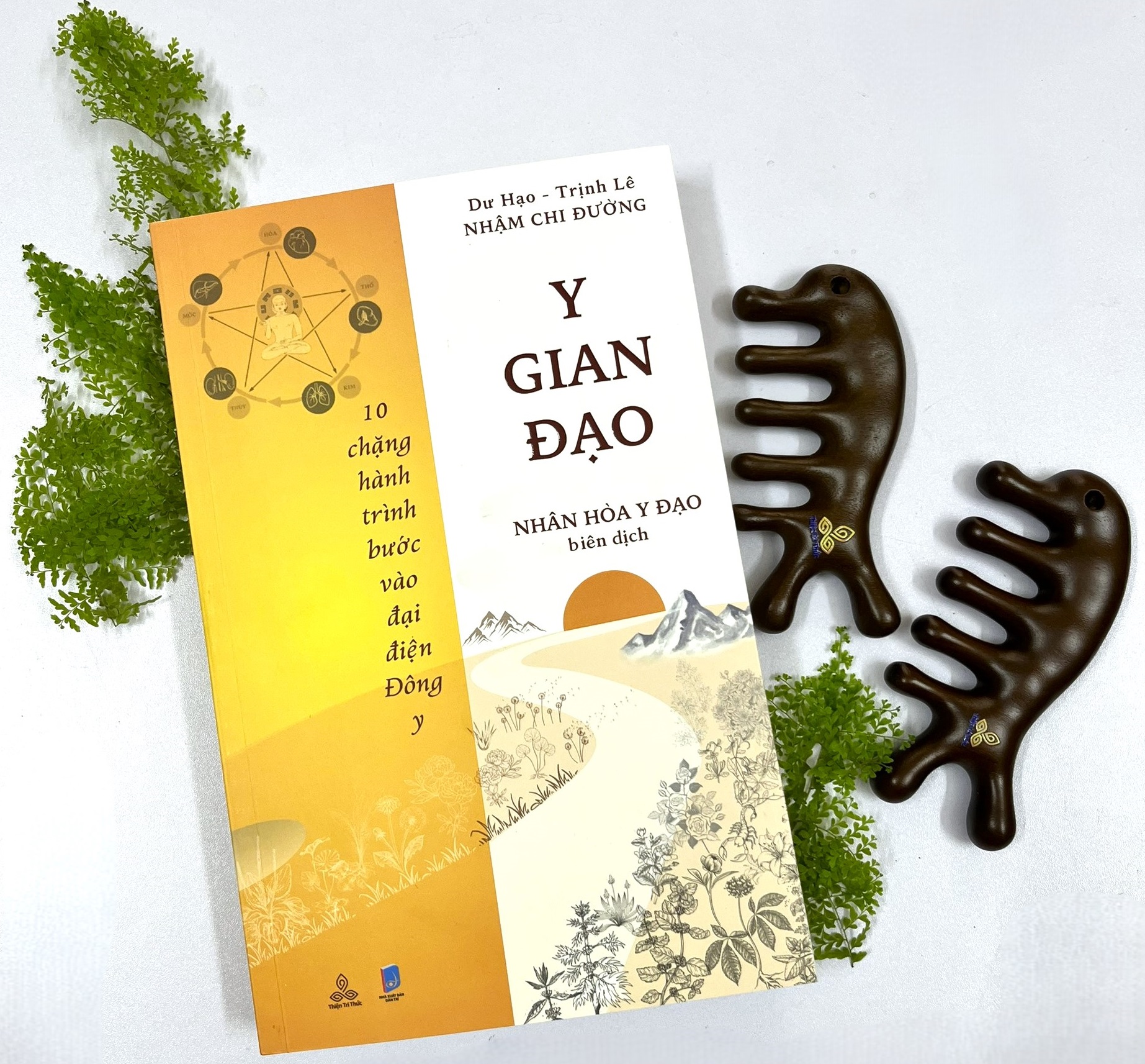 Y gian đạo – 10 chặng hành trình bước vào đại điện Đông y của Thầy Dư Hạo