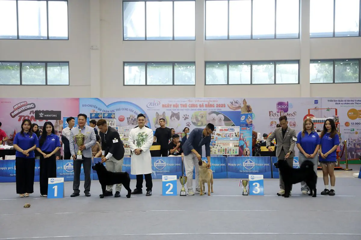 Thí sinh miền Trung háo hức dự VKA Firework International Dog Show – Đà Nẵng 2025